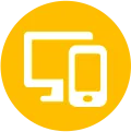 Robust Security Measures Icon